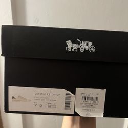 Coach Shoes 