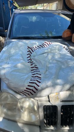 Baseball bean bag