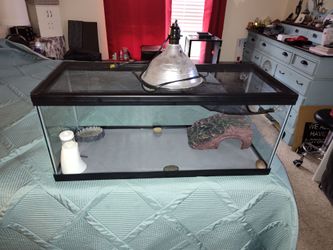 Reptile enclosure comes with what you see