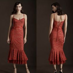 NWT $465 Anthropologie x V. Chapman Naomi Lace Corset Flounce-Hem Midi Dress 10