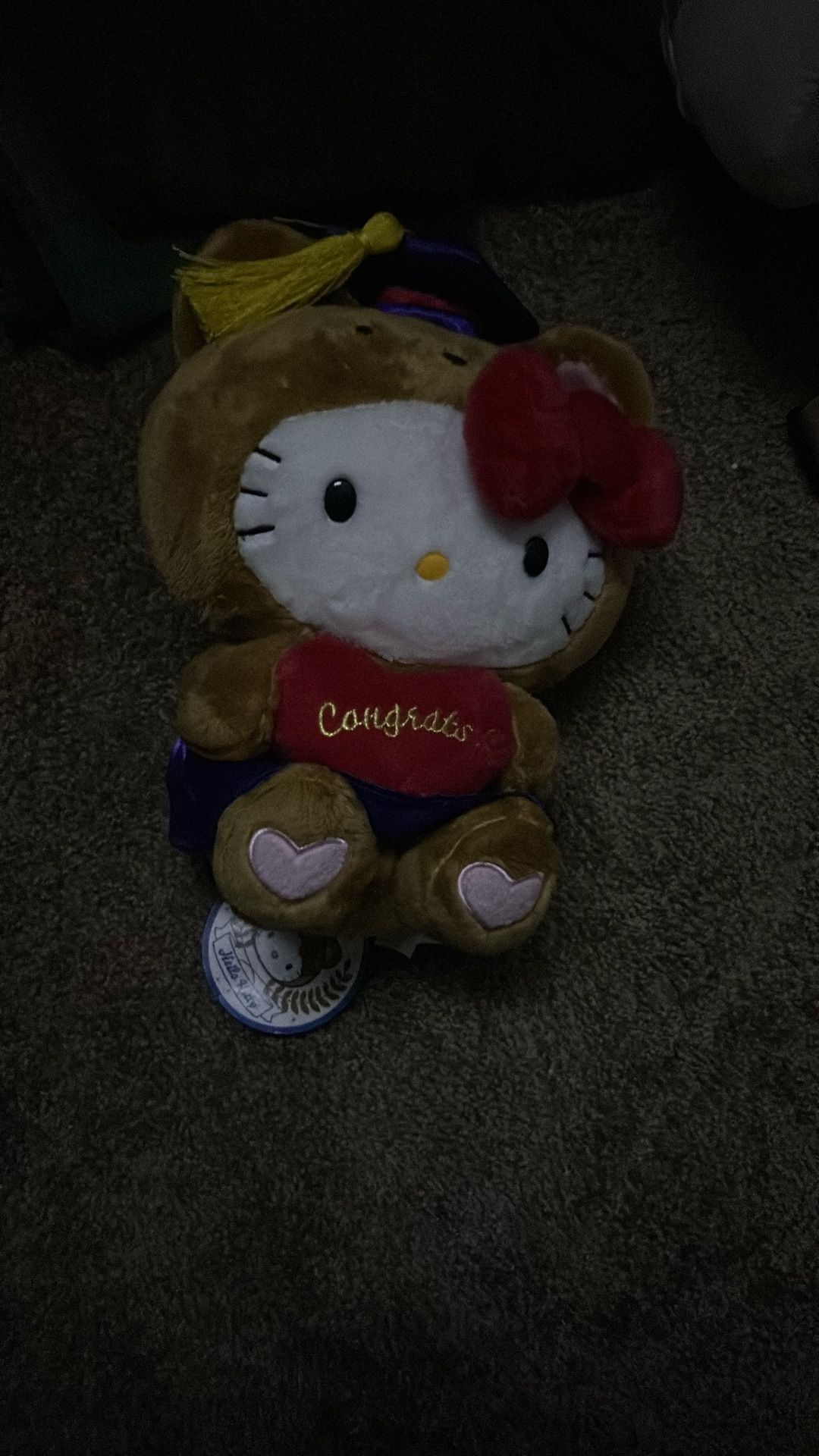 Graduation Hello Kitty Plushie
