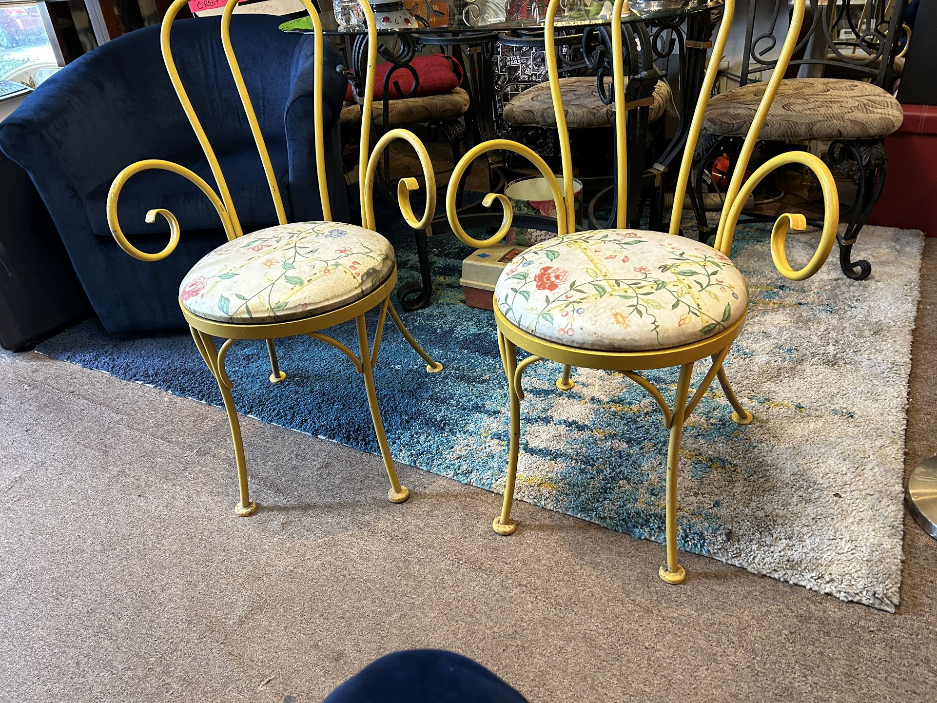 Spring Time Metal Chairs(Fayetteville Ga)