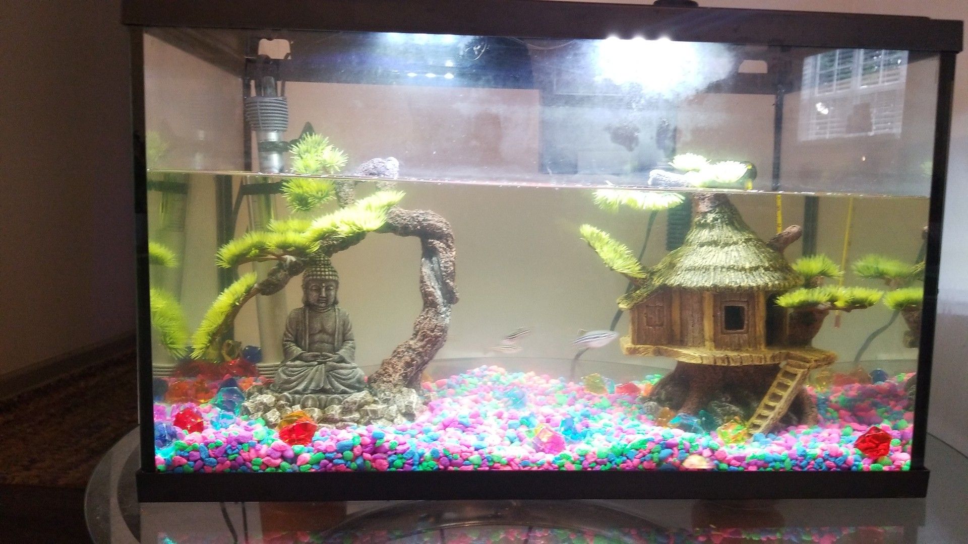 Fish Tank / aquarium and fish decorations for sale