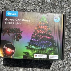 Govee RGBIC 200 LED Christmas Lights with Shape Mapping Function, Smart LED Decoration for Indoor and Outdoor Tree, 130+ Preset Scenes, Voice and App 