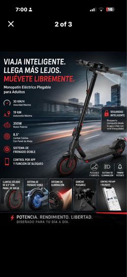 Adult scooter