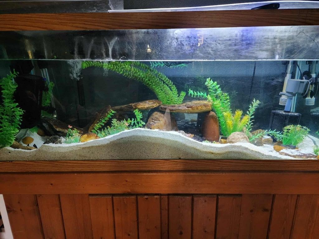 Fish Tank