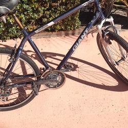 Giant mountain bike large frame