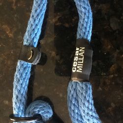 Cesar Milan Dog Leash
