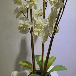 Artificial Orchids