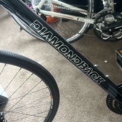 Diamondback