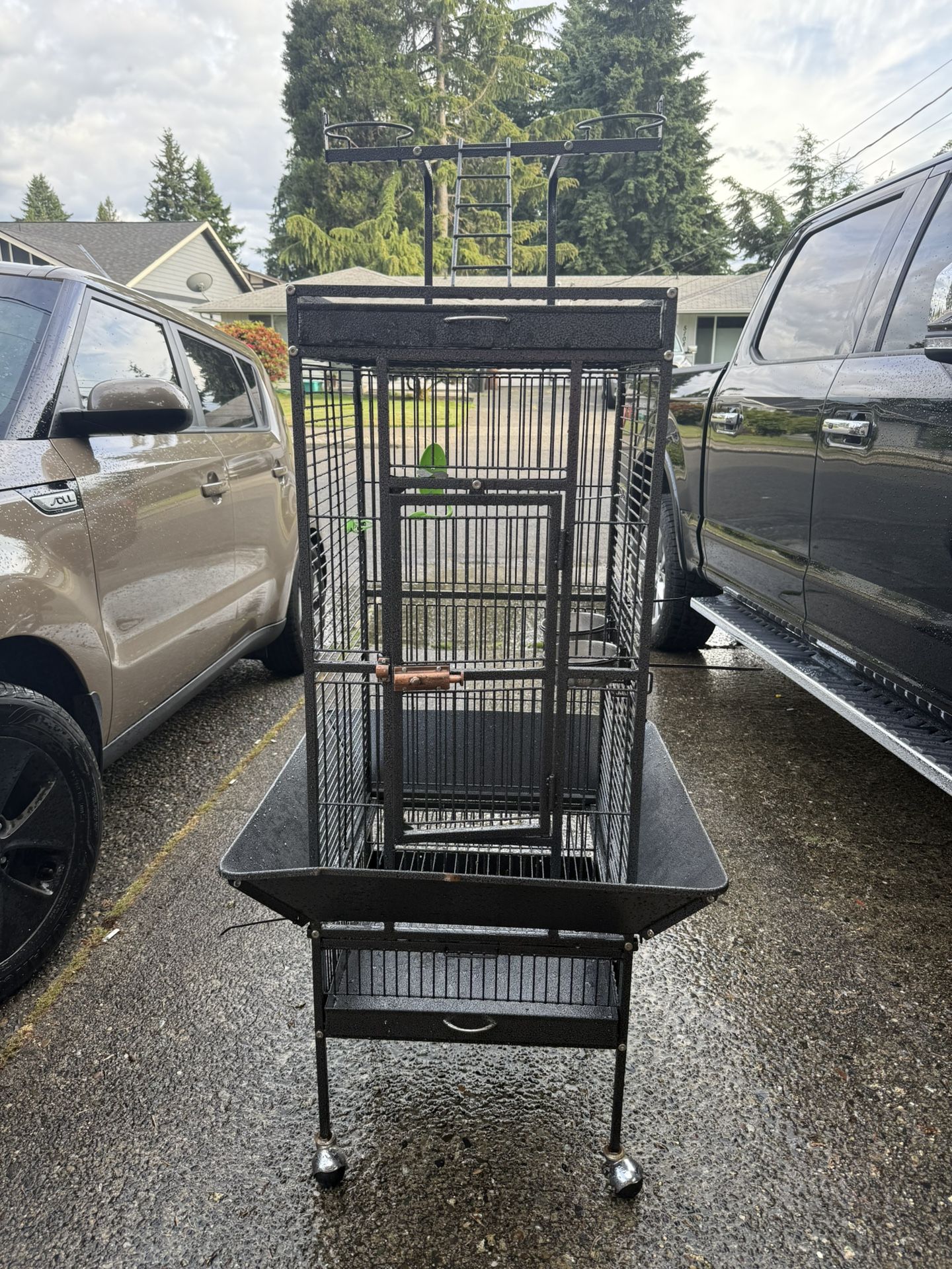 Bird Cage In Great Condition