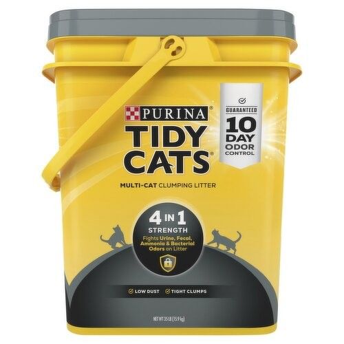 Kitten Litter