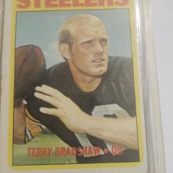 Terry  Bradshaw Cards