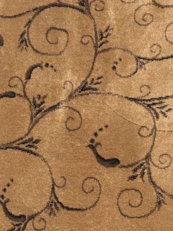 Carpet for sale 13 x 6 approximately $100