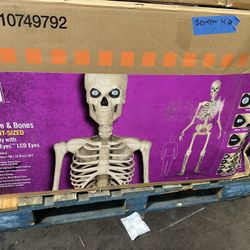 12ft Giant Sized Skelly 