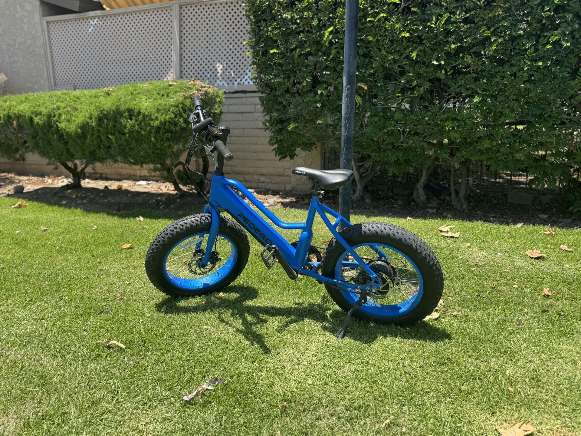 Electric Bikes