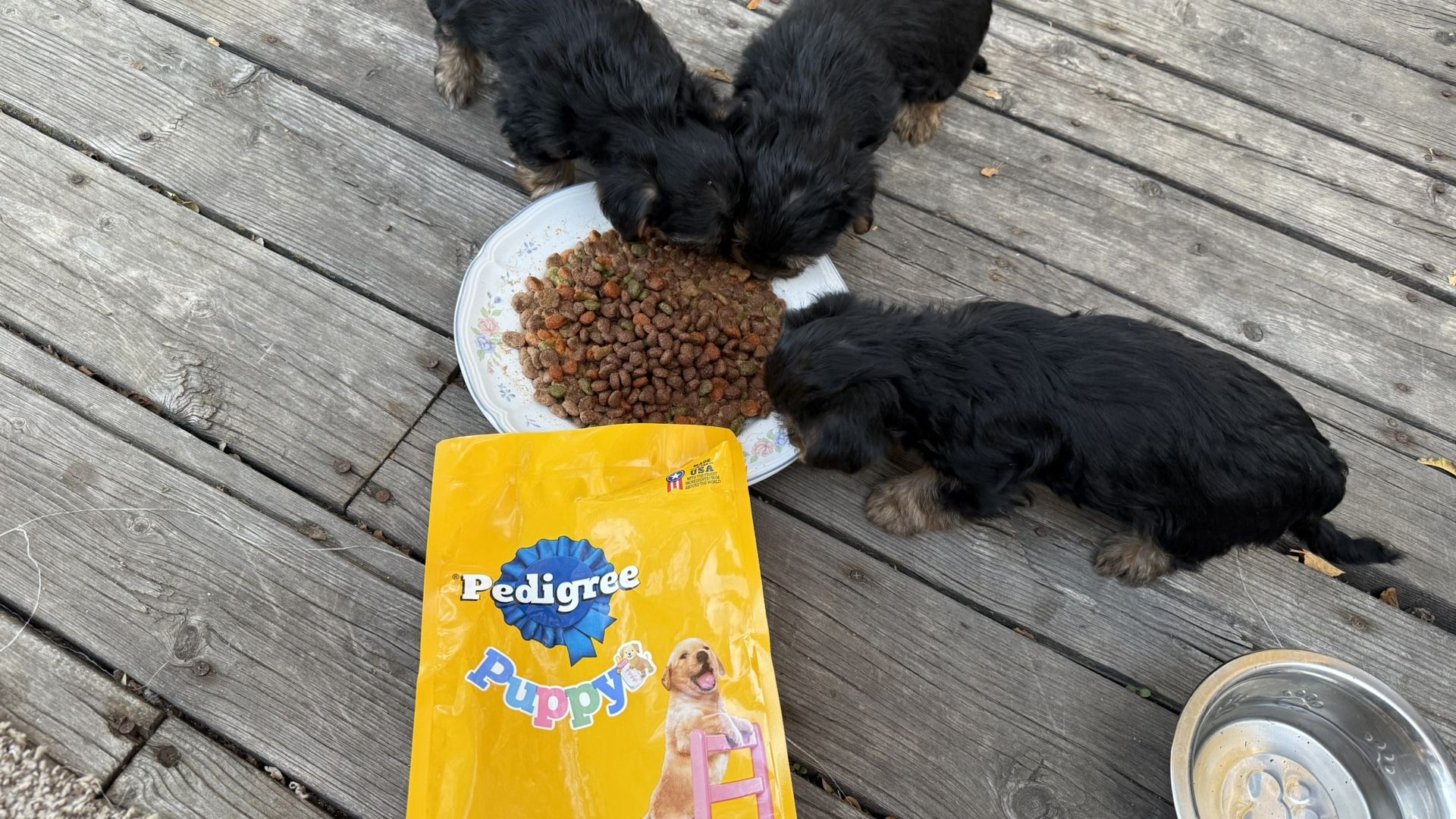 Good Dog Food For Puppy S New 15lb Bag