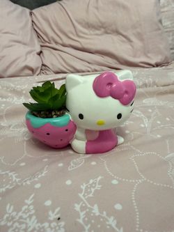 Small hello kitty plant