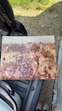 original painting signed by artist "John Williams" and dated 1984.