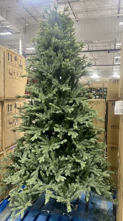 9Feet Xmas Tree 