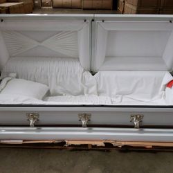 Antique White Shaded Silver Rose Casket
