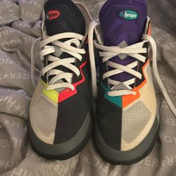 LeBron Nike Basketball Shoes 