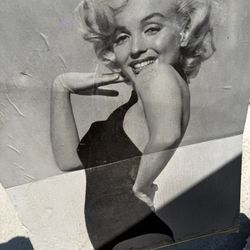 Marilyn Monroe Cardboard, Water Damage