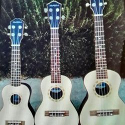 Brand New Hawaiian Ukulele Set 