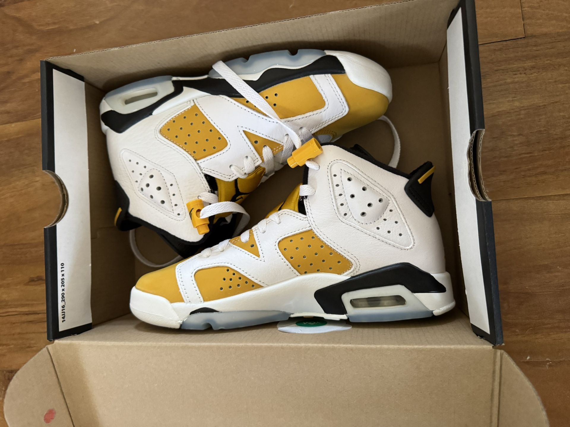 Air Jordan 6 Retro