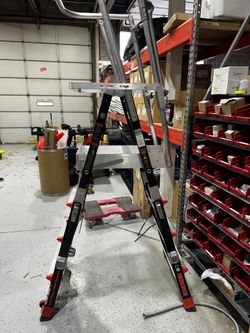 Little Giant Caged Ladder