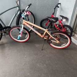 20 Hinches Girls Bikes $30 I Will  Acept Ofers Due Moving Out
