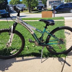 Diamondback Tess 24 Mountain Bike for Sale in Roselle IL OfferUp