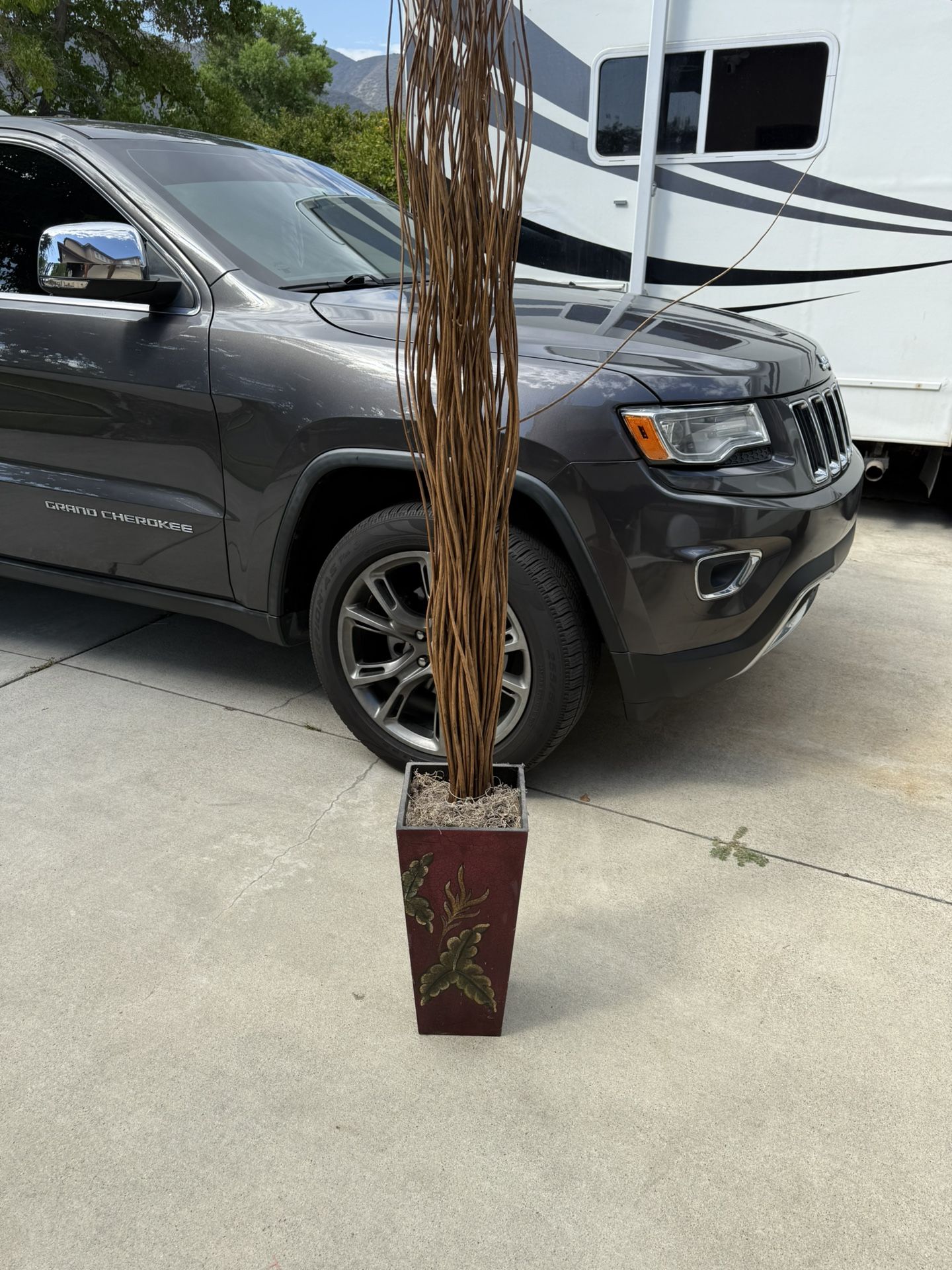 Fake House Plant 