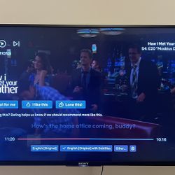 Sony Bravia 43” + Wallmount + Charger + Remote Control.