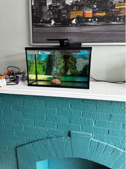 Fish tank