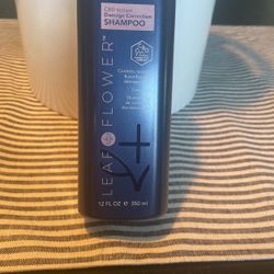 Shampoo