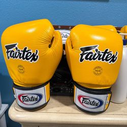 Fairtex BGV1 Muay Thai Gloves – Authentic