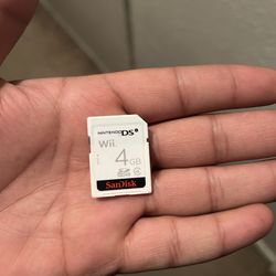 Nintendo DSi memory card