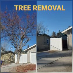 Stump grinding messge, tree messge