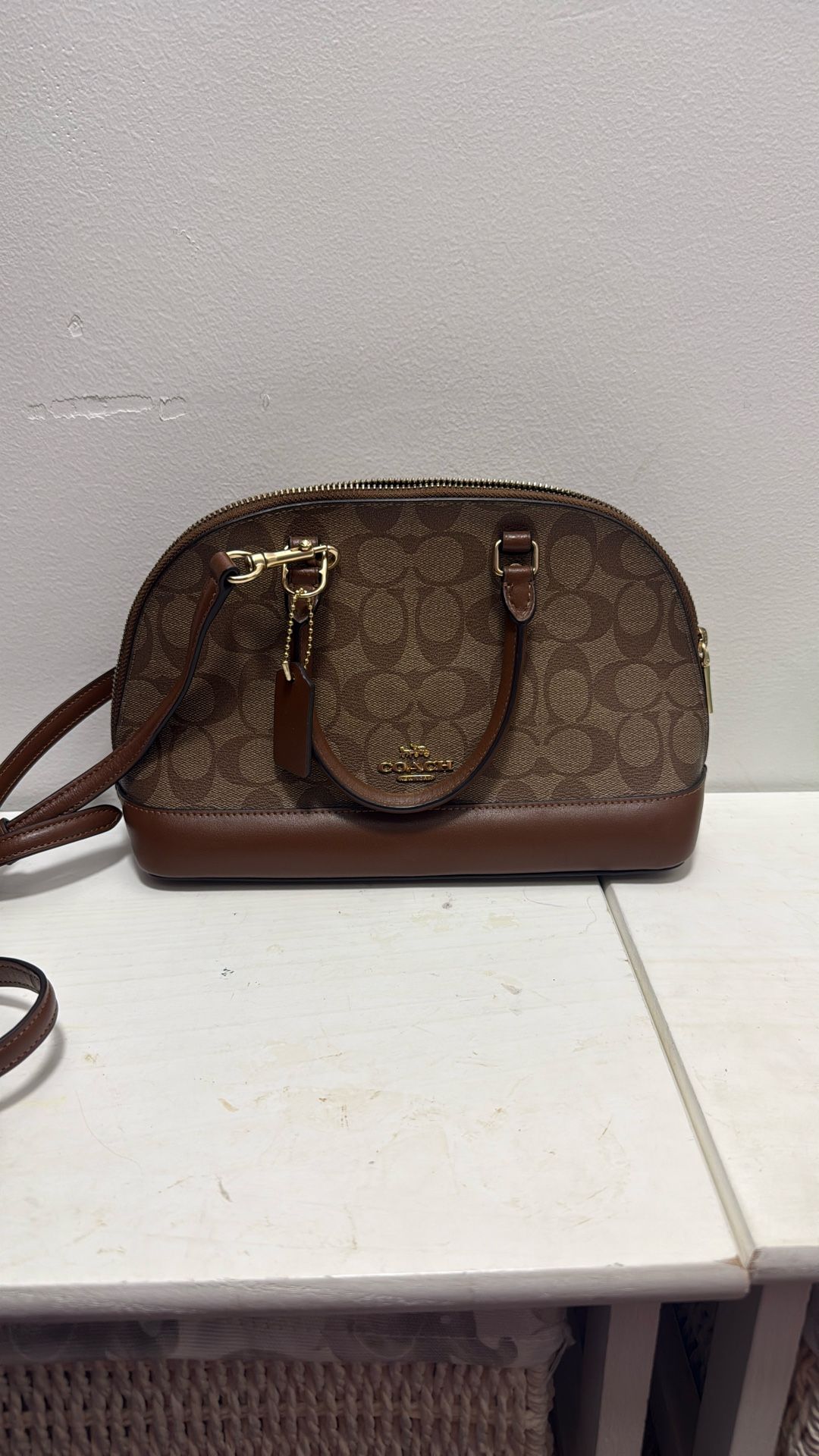  Coach Bag 