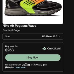 Nike Air Pegasus wave Size 8 ( like new , Worce Once ) 