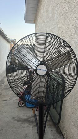 Big fan