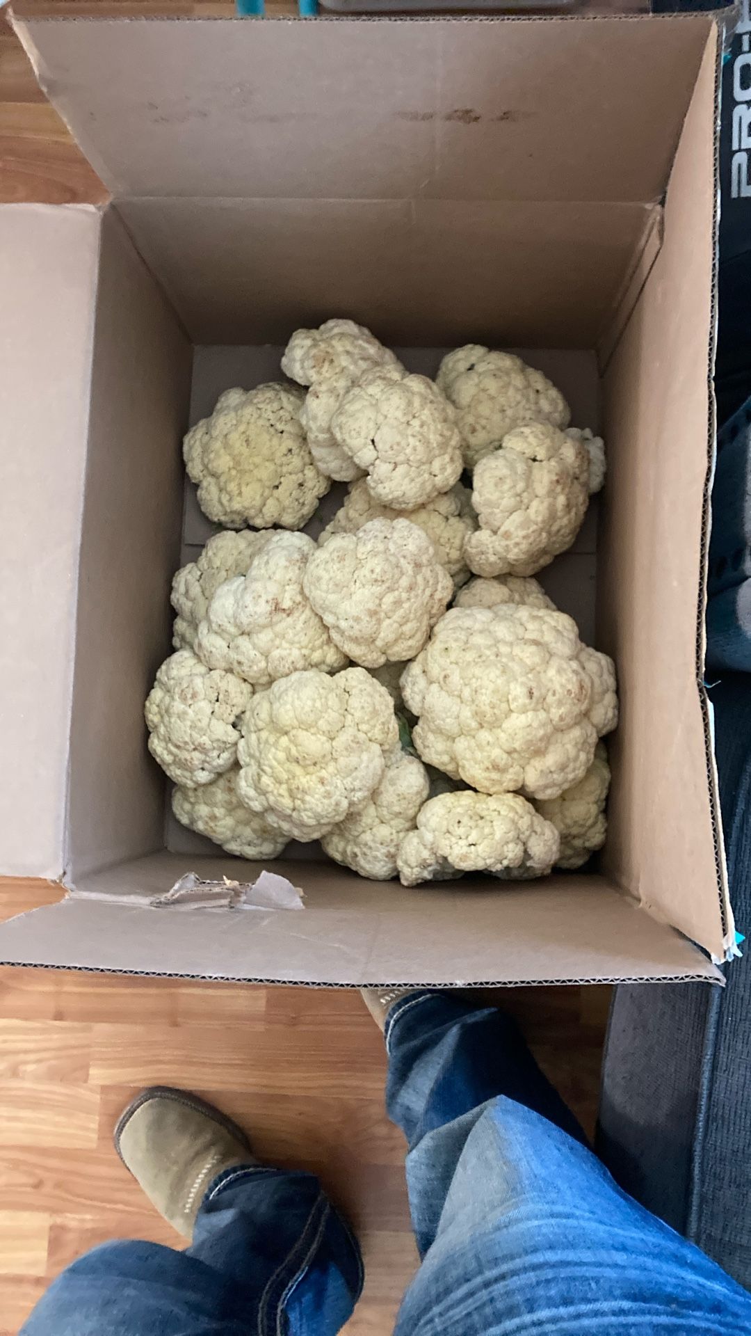 Cualiflower For 10 Dollars All Of It