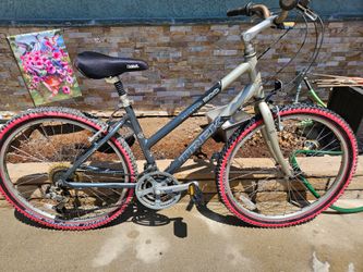 Trek Women's Bike