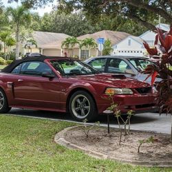 2003 Ford Mustang