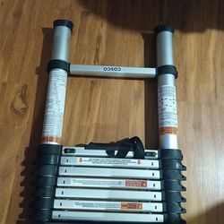 Telescopic ladder