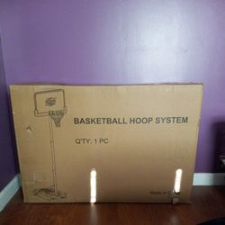 Basketball Hoop System