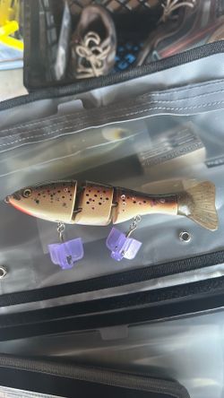 Triple trout brown trout