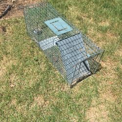 Large Live Animal Trap