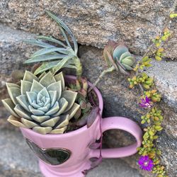 Grandma Heart Succulent Arrangement 💗